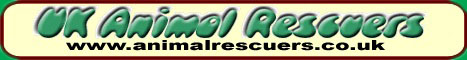 Uk animal rescue
